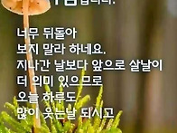 &#127801;만 ..