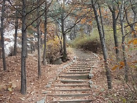 체중조절을 위해 꼭 필요한..