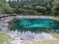 필수미네랄 섭취가 유해미..