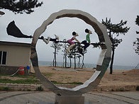 단백질(필수 아미노산)의 ..