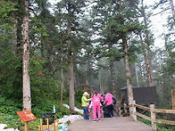 머리카락분석으로 알 수 ..