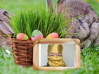 황당, 당황한 이야기 49..