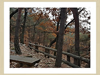 해독과 건강유지에 부족한..