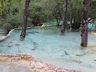 [스크랩] 마음이 맑아지는..