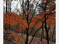 Re: 해독과 건강유지에 부..