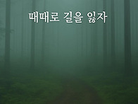 때때로 길을 잃자