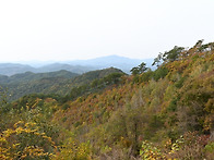 가을은 참 예쁘다