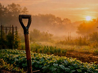 내게 밭이 있다는 건