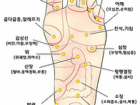 내 손 안에 의사 있다