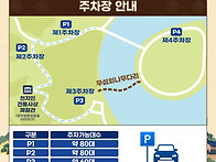 영주 무섬외나무다리 축제