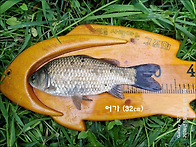어가 (정출35호)..