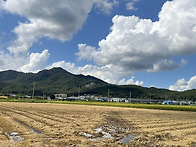 가을