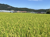 산책
