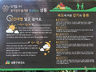 속도에 따른 걷기