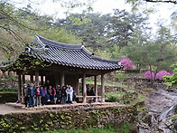 임장군 근황
