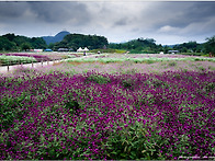 양주 나리공원