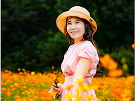 삼페공원 황하코스모스