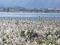 황산공원2025.10.26