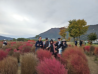 황산공원 트래킹