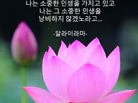행복한 삶
