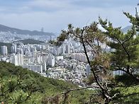 초읍-장전역 20250518