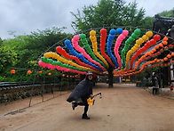 20250503 백양산 둘레길