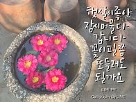 전합니다