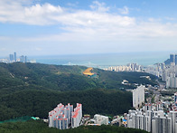 황령산 사자봉 산행