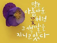 똑같이