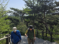 2026년 4/18 남산트레킹