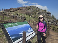 지리산 노고단 진달래꽃 ..