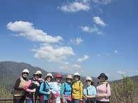 지리산 노고단 진달래꽃 ..
