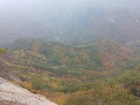단양올산