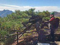 백양사 인물들 5