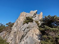 화순 백아산 송년산행 ~