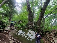 정선 가리왕산 산행~