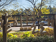 2025. 11월 산행 4