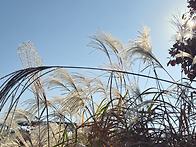 2025. 11월 산행 3