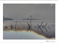 호수의 아침