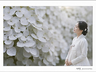 흰수국 여인 AI