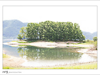 바람의 언덕
