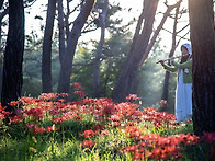 꽃의 여인