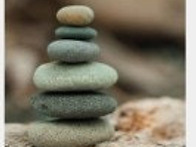 2025년 서애갑오 정기총회..