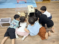 💜동물체험💜6/19