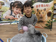 🩷동물체험🩷