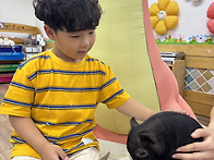 💛동물체험💛