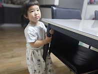 코알라 하랑이