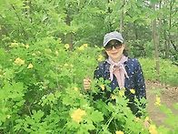 5월 옹기마을 둘레길
