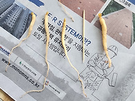 장뇌삼26.05.19