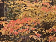 2025년 11월8일 ..